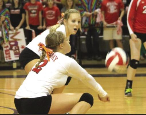 Hargrove returning to the Lady Eagles' nest