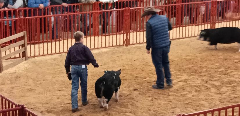 Results from Fort Worth Show
