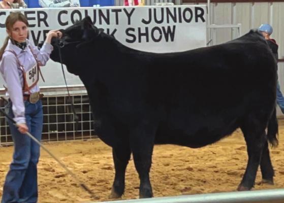 Archer County Junior Livestock Show Showmanship results
