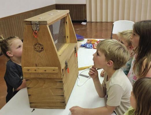 4-H Clover Kids learn about bees