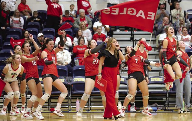 The Lady Eagles’ bench celebrates after a point in Holliday’s Regional Semifinals matchup with Wall on Nov. 11. Photo/Landon Davis