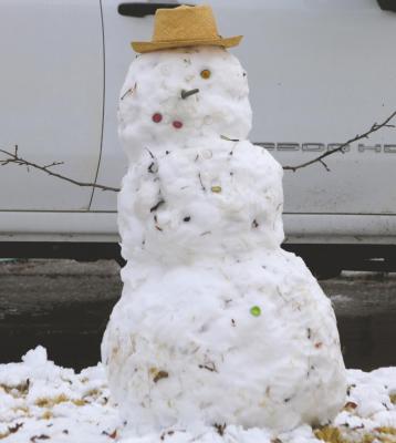 A White New Year