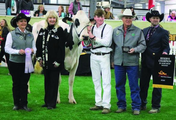 Grayson Steinberger , of Windthorst FFA, showed the Reserve Grand Champion Holstein at the San Antonio Stock Show and Rodeo. Courtesy photo