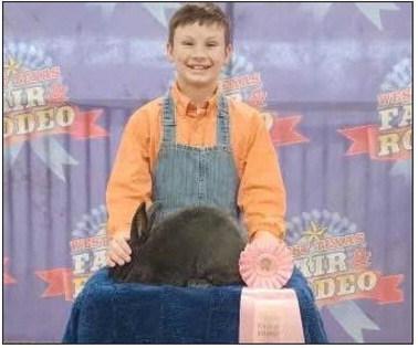 Jones does well at West Texas Fair