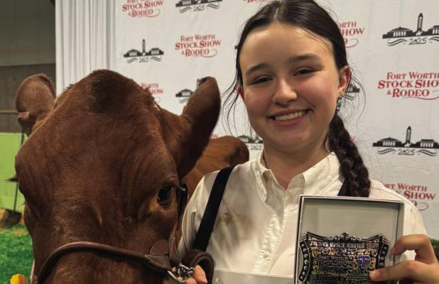 Ava Koetter won junior showmanship in the Junior Dairy Show AOB Division of the Fort Worth Stock Show and Rodeo. Courtesy photo