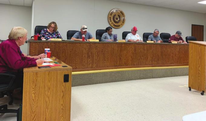 Holliday City Council restricts tiny home building