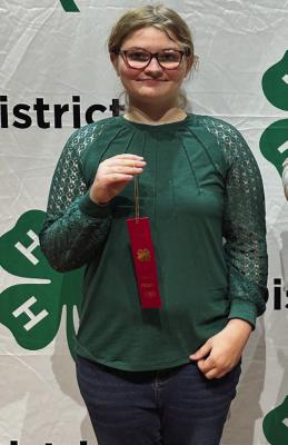 District 3 4-H Roundup