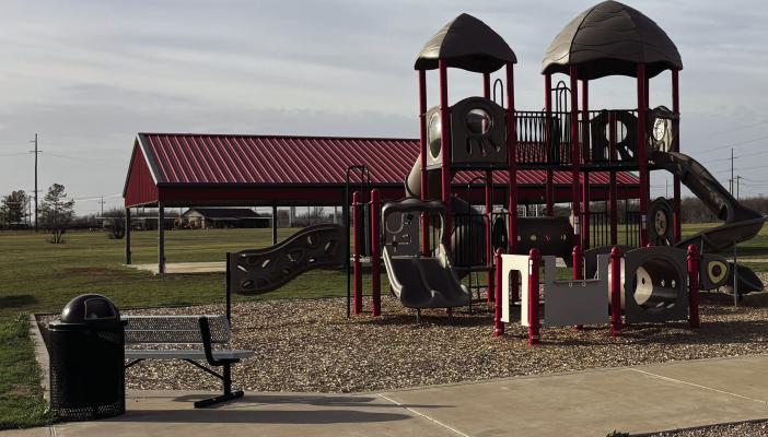 The Holliday City council discussed issues in purchasing and installing a new ladder for playground equipment at the City Park during its council meeting on Monday, March 17. Photo/Nathan Lawson