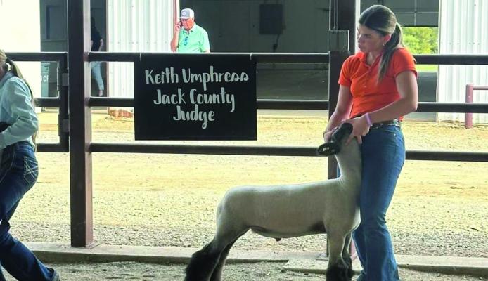 Zee McCall won junior goat showmanship, first place class 2 goat and first place class 1 medium wool at the Birthplace of 4H show in Jacksboro.