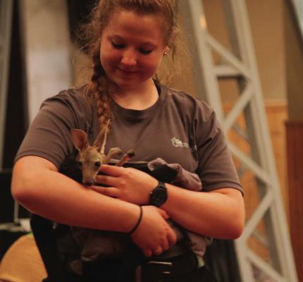 The Creature Teacher performed at the Royal Theater as part of the Archer Public Library's Summer Reading Program on Wednesday, June 12. The program featured a baby kangroo, snake, procupine and other animals. Photo/Nathan Lawson