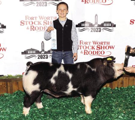 Mitchell Romero, of Windthorst 4-H, showed the 10th Place Class Dark OPB at the Fort Worth Stock Show and Rodeo. Courtesy photo