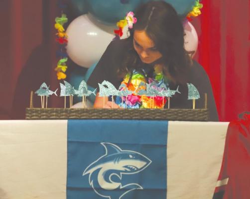 Bodde signs with Hawaii Pacific