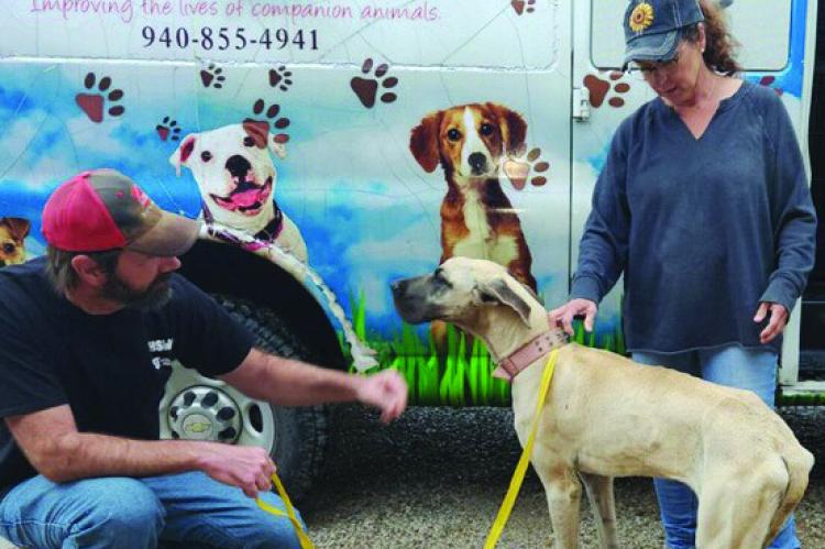 The Humane Society of Wichita County came to pick up five dogs from the Archer City Police Department that were seized as part of a animal cruelty case on Saturday, April 20. Courtesy photo/City of Archer City
