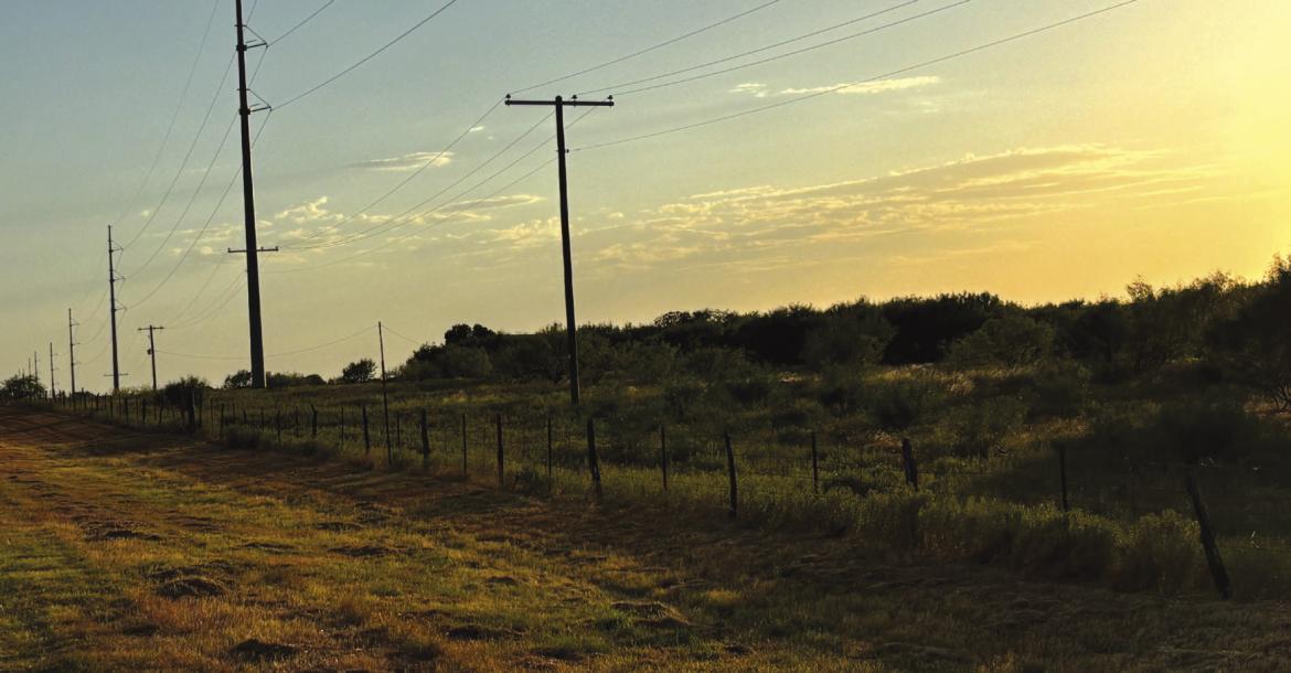 A 107 Acre property between Lakeside City East and West could be the future home of Lakeside City Central if the city and developers can find feasibility in the 73-home addition. Photo/Nathan Lawson